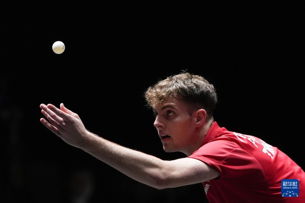 小特与墨菲 小特与墨菲